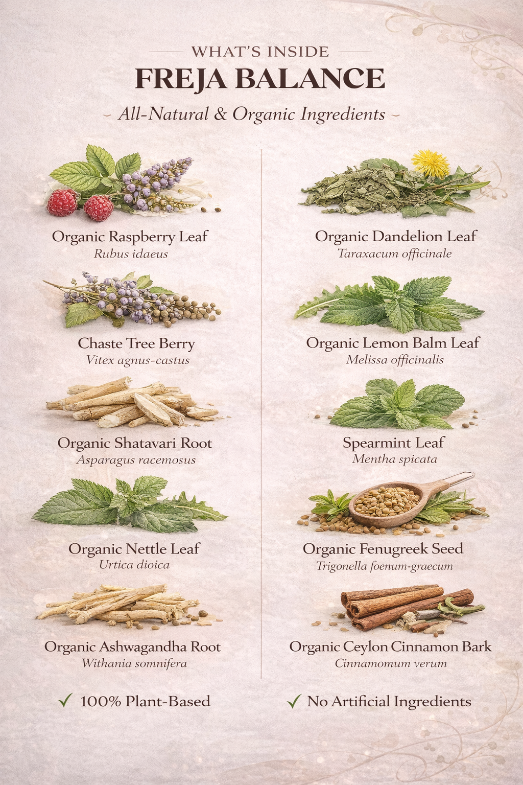 Freja Balance – Örtte för Klimakteriet & Hormonell Balans (80 g)